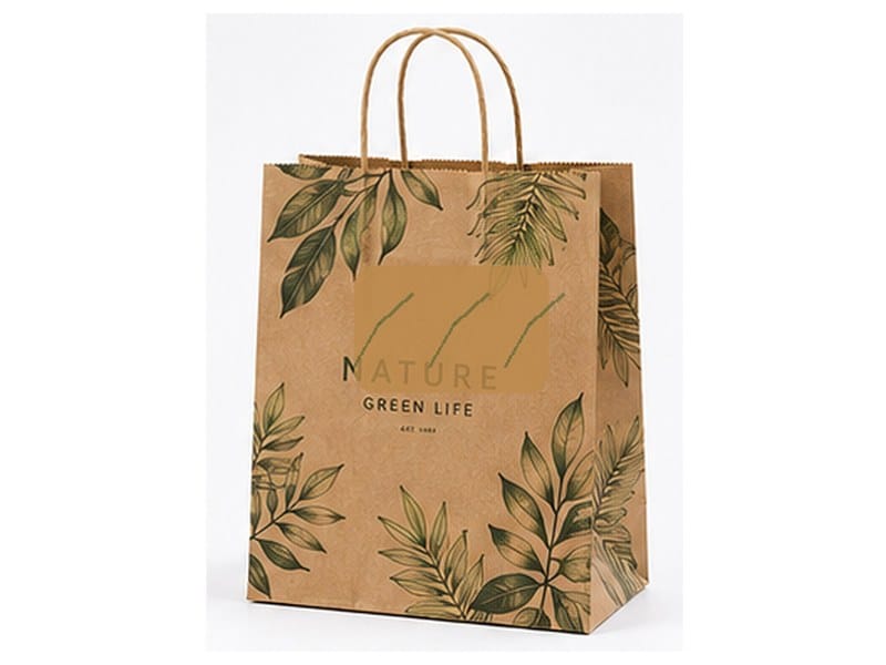 Custom printed paper shopping bags with handles