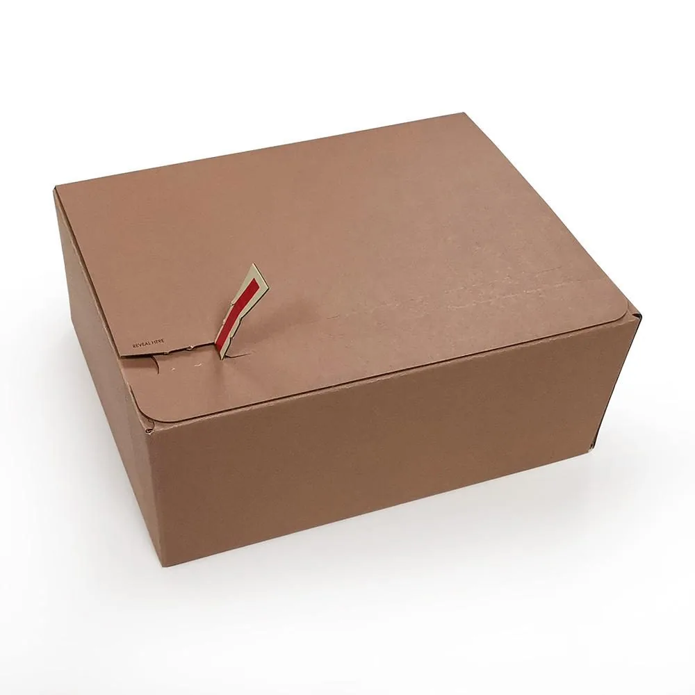 Brown tear strip mailer box closed structure