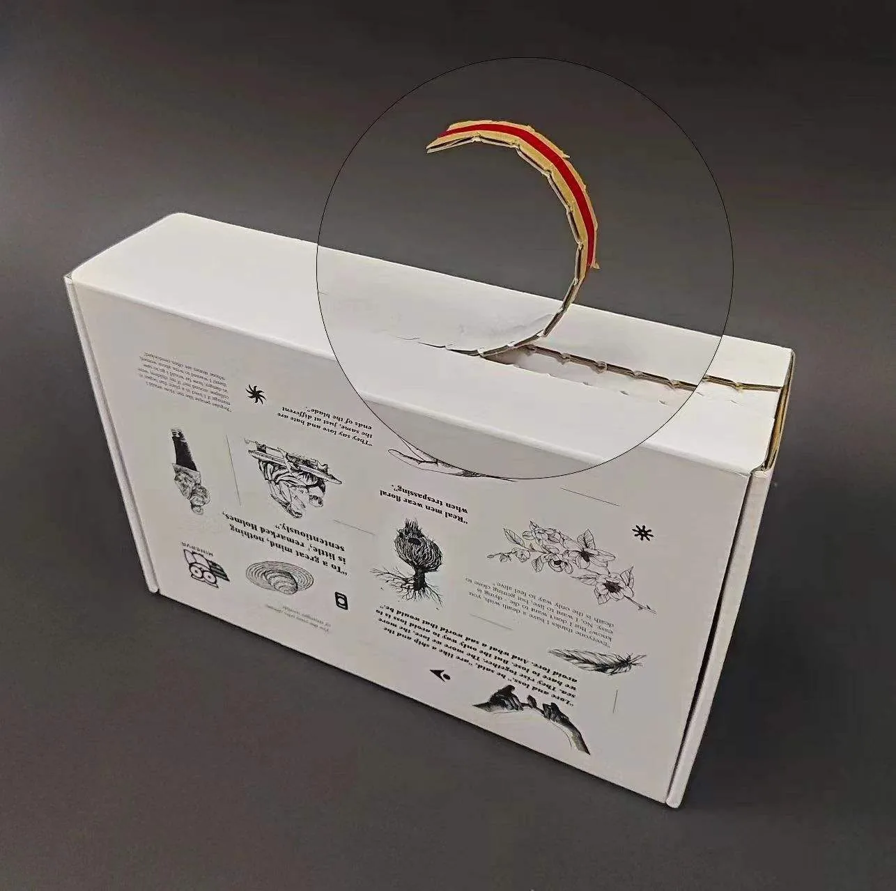 White tear strip mailer box handle and opening detail